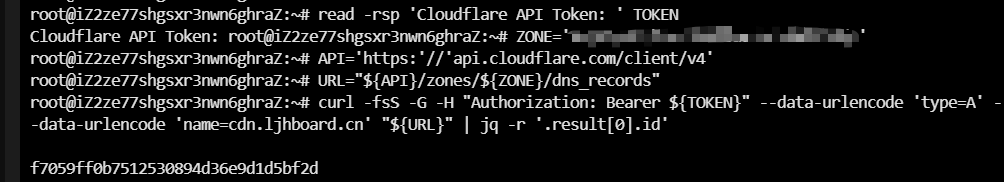 终端中通过 curl 调用 Cloudflare API 成功查询 DNS Record ID